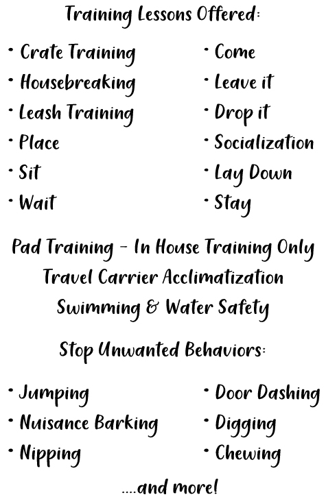 Housebreaking training sales near me